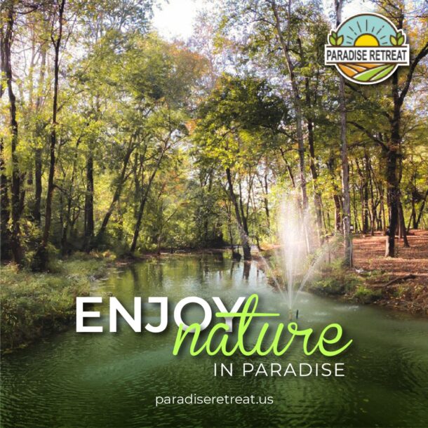 Paradise Retreats