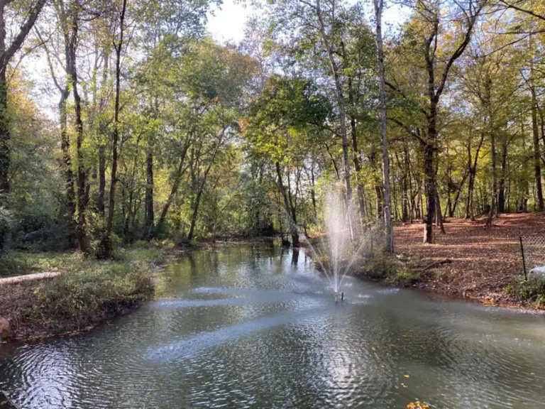 Mini Cabin sleeps 6 each (2)